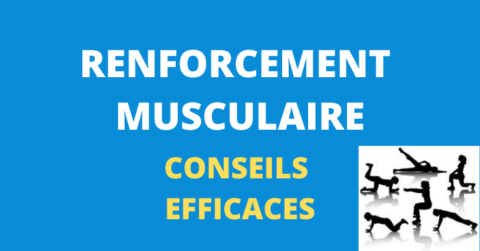 renforcement musculaire dos